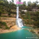 Bohol: Nature Discovery & Coastal Adventure Experience - Who Will Love This Tour