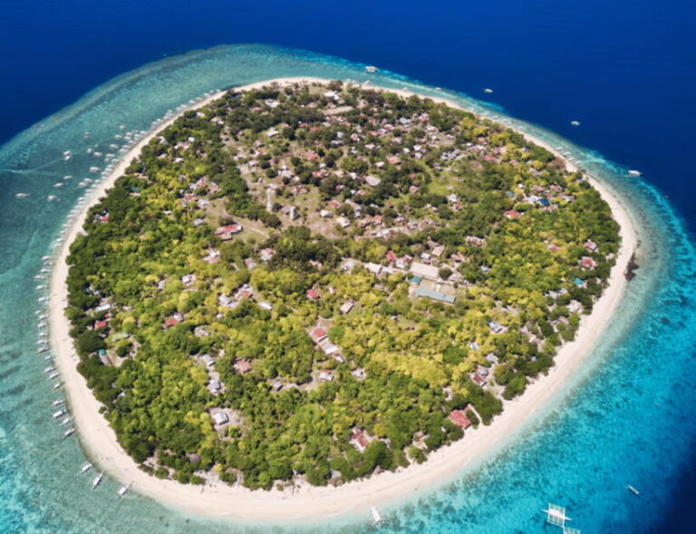 Bohol: Panglao Island Hopping & Dolphin Watching Tour - What’s Included and What’s Not