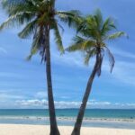 Bohol, Philippines: Pamilacan Island Tour with Dolphins - Practical Details and What to Pack