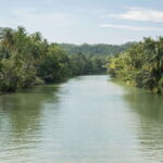 Bohol: Private Countryside Tour with Buffet Lunch - What to Expect and Practical Tips