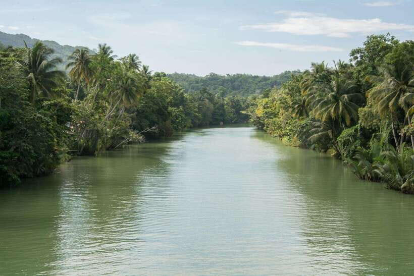 Bohol: Private Countryside Tour with Buffet Lunch - What to Expect: A Day Full of Discovery  