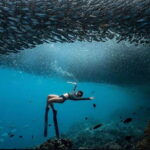 Bohol: Private Sardine Snorkel & Tropical Fish Tour - What the Reviews Tell Us