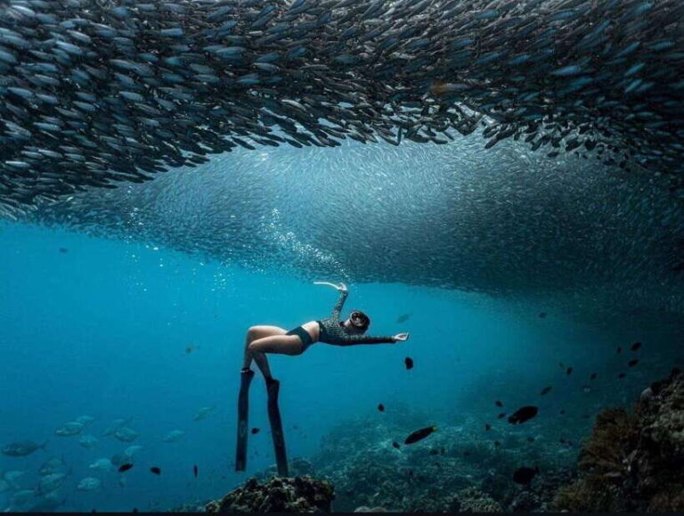 Bohol: Private Sardine Snorkel & Tropical Fish Tour - What the Reviews Tell Us