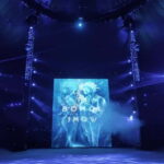 Bohol Show Ocean Fantasy - Who Should Consider This Experience?