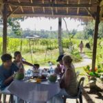 Bohol: Waterfalls, Kayak, Hills Hike, & Tarsier Eco Tour - The Heart of the Tour: The Chocolate Hills and Waterfalls