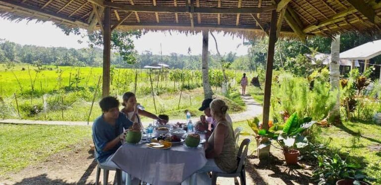 Bohol: Waterfalls, Kayak, Hills Hike, & Tarsier Eco Tour - The Heart of the Tour: The Chocolate Hills and Waterfalls