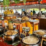 Bohol Whaleshark Watching with Loboc River Lunch - Final Thoughts