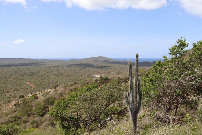 Bonaire Island North Side DiscoveryTour - Who Will Love This Tour?