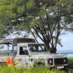 Bora Bora by Land and Sea: 4WD Safari and Snorkel - Transportation, Timing, and Practicalities