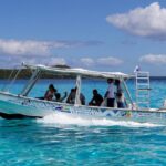 Bora Bora Eco Snorkel Cruise Including Snorkeling with Sharks and Stingrays - The Sum Up