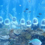 Boracay: Aquanaut Helmet Diving Experience - FAQ: Boracay Aquanaut Helmet Diving Experience