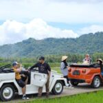 Borobudur: Private Volkswagen Thing Countryside Safari - Who Will Love This Tour?