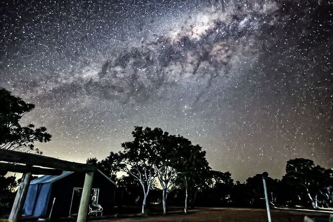 Boshack Farm - Animal, Wildlife, Stargazing Nature Aussie culture - What the Experience Means for You