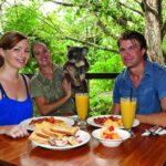 Breakfast with the Koalas at Hartley's Crocodile Park from Cairns or Palm Cove - Analyzing the Cost and Experience