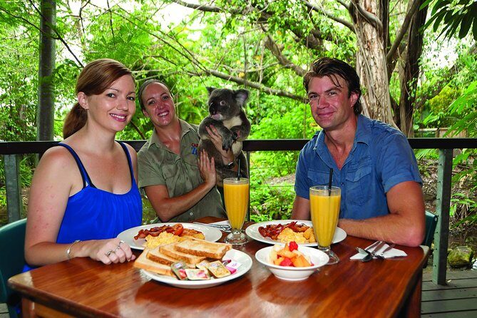 Breakfast with the Koalas at Hartley's Crocodile Park from Cairns or Palm Cove - Analyzing the Cost and Experience