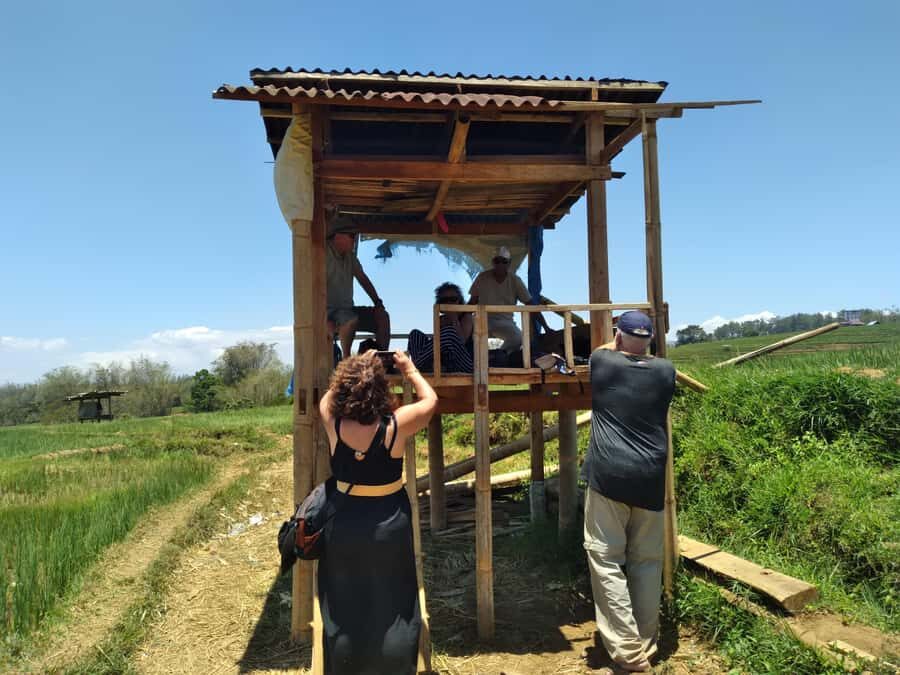 Breathe in Malinos Fresh Air & Explore the Flower City - What Makes This Tour Stand Out?