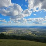 Brisbane Departure : Explore Tamborine Mountain Day Tour - Cedar Creek Estate Vineyard & Winery