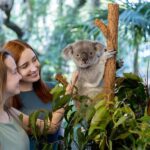Brisbane: Lone Pine Koala Sanctuary Day Pass - An In-Depth Look at the Lone Pine Koala Sanctuary Experience
