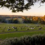 Brisbane: Moreton Bay Winery & Brewery Tour with Lunch - Detailed Breakdown of the Itinerary