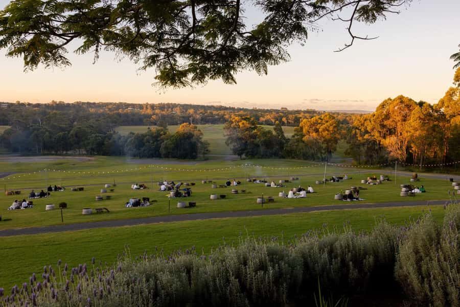 Brisbane: Moreton Bay Winery & Brewery Tour with Lunch - Detailed Breakdown of the Itinerary