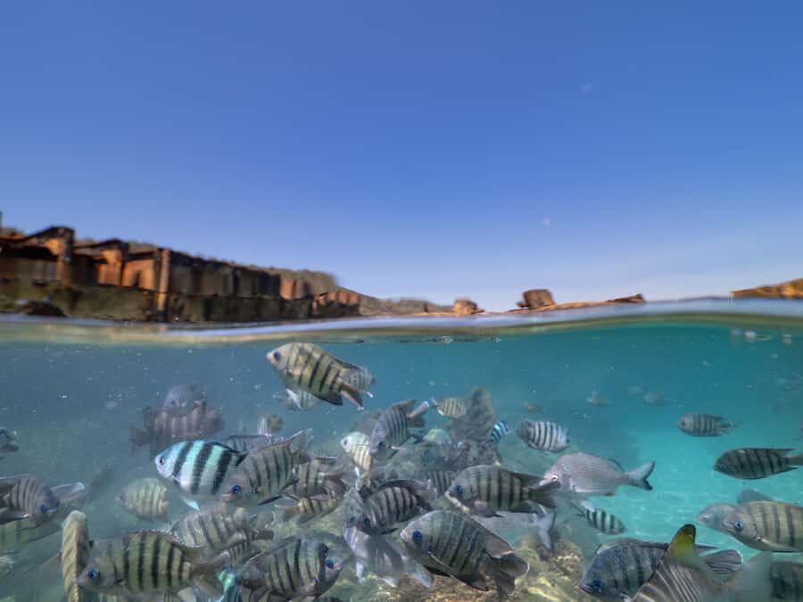 Brisbane: Moreton Island all inclusive Snorkeling Tour - The Itinerary in Detail