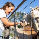 Brisbane: Trevena Glen Farm 1hr Animal Experience - What to Expect at Trevena Glen Farm