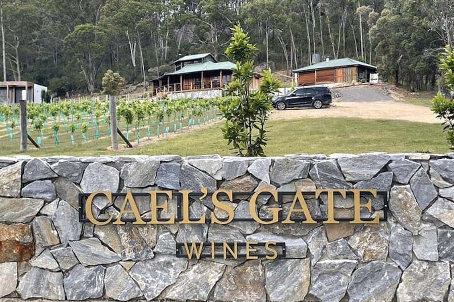 Broke: Caels Gate Reserve Wine Tasting - The Atmosphere and Views