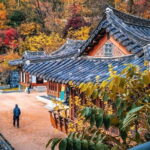 Buam dong Walking Tour Art, History and Parasite in Seoul - In-Depth Look at the Tour Experience