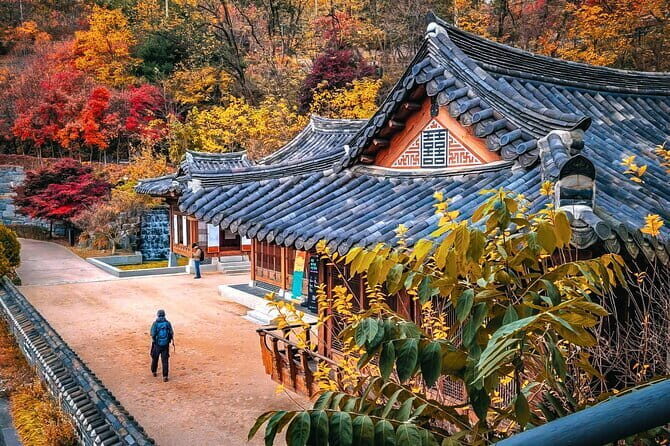 Buam dong Walking Tour Art, History and Parasite in Seoul - In-Depth Look at the Tour Experience