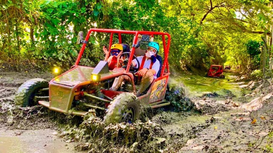 Buggy Adventure in Puerto Plata - What Makes This Tour Stand Out: A Balanced Look