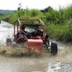Buggy Tour from Sosua - Final Thoughts: Why This Tour Is a Solid Choice
