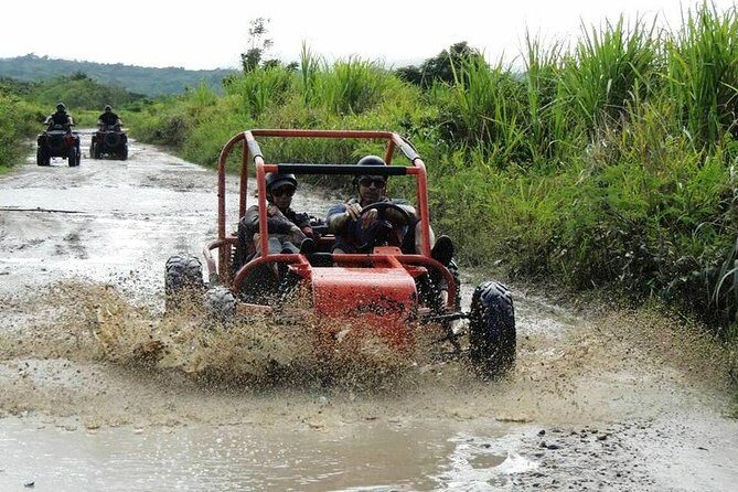 Buggy Tour from Sosua - Final Thoughts: Why This Tour Is a Solid Choice  