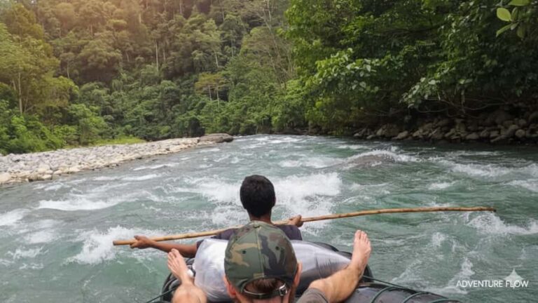 Bukit Lawang: 4-Day Wild Orangutan and Art Trek - Who Will Love This Tour?  