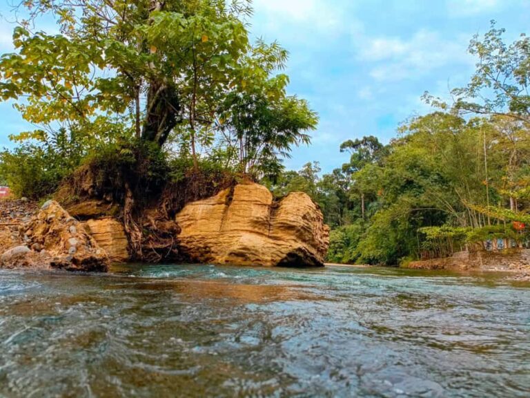 Bukit Lawang: Jungle Cooking Adventure with Local Guide - Who Is This Tour Best For?