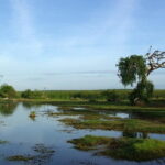 Bundala National Park by Ajith Safari - Who Would Love This Tour?