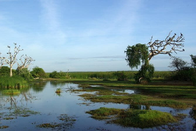 Bundala National Park by Ajith Safari - Who Would Love This Tour?