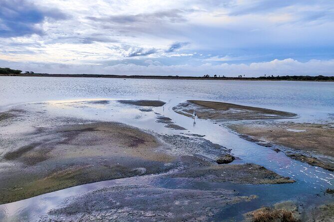 Bundala National Park Safari from Dikwella - FAQs