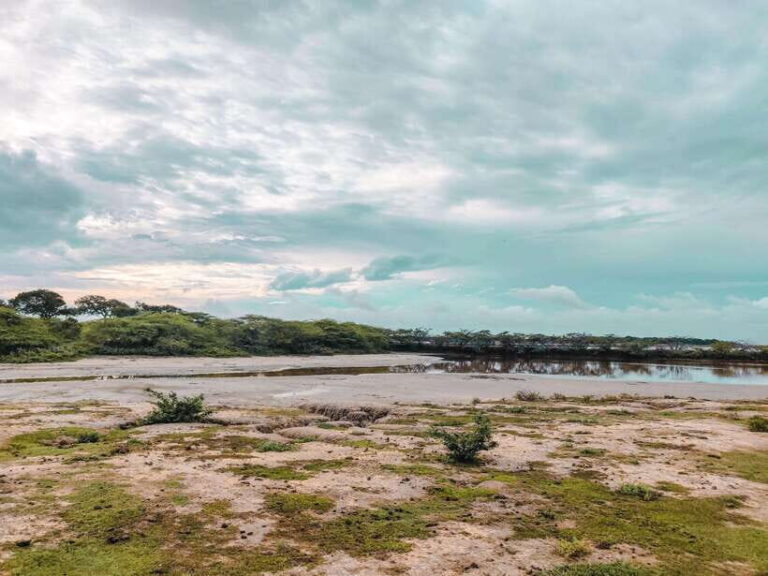 Bundala National Park Safari from Weligama - Practical Details and Tips