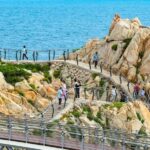 Busan: 7 Highlights Gyeongju City One Day Tour - What to Expect: Practical Tips & Insights