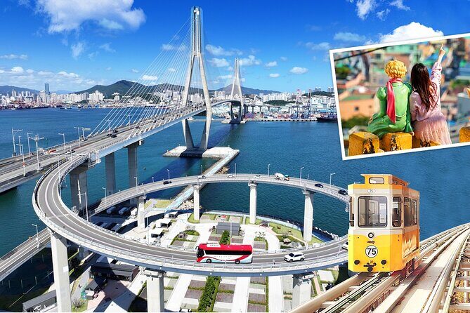 Busan 9 Highlights Tour - What Makes This Tour Stand Out?