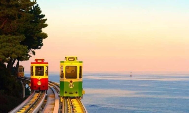 Busan: Customized Private Car Tour City Sights & Local Gems - Who Is This Tour Best For?