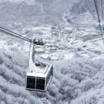 Busan Discovery Tour with Snow and UNESCO Spot - Final Thoughts: Is This Tour for You?