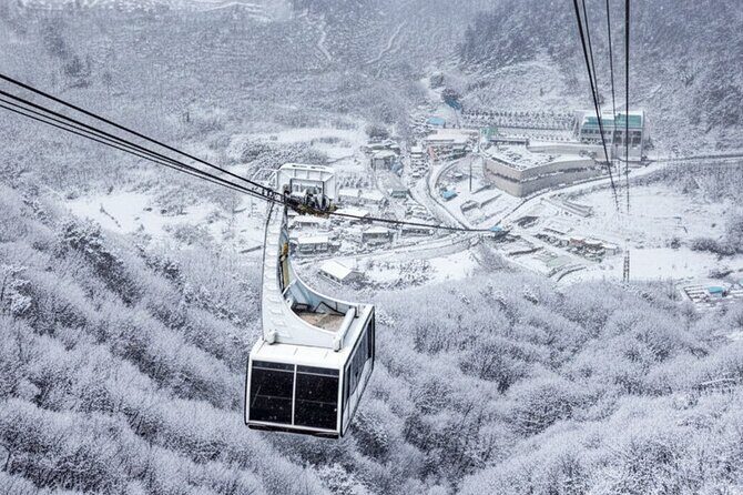 Busan Discovery Tour with Snow and UNESCO Spot - Final Thoughts: Is This Tour for You?