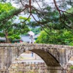 Busan: Discovery Tour With Snow & UNESCO Spot - Midday Korean Cuisine and Local Flavors