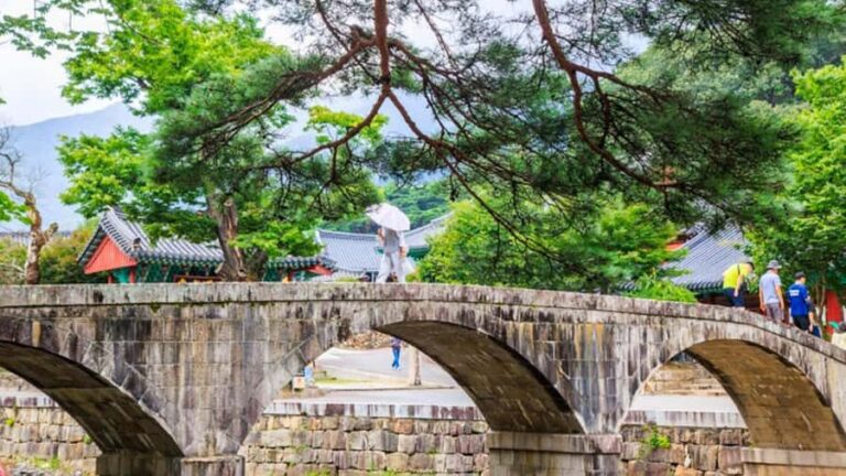 Busan: Discovery Tour With Snow & UNESCO Spot - Midday Korean Cuisine and Local Flavors