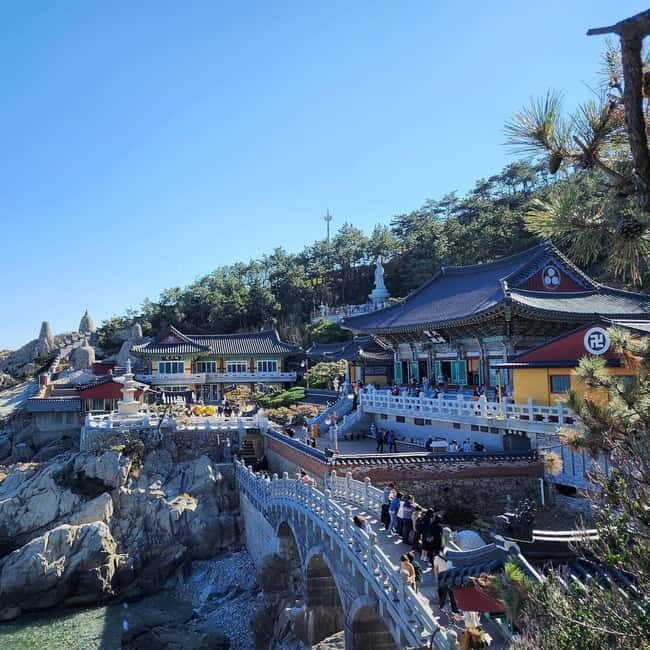 Busan: Full-Day Tour Unmissable things to do in Busan - The Iconic Haedong Yonggungsa Temple