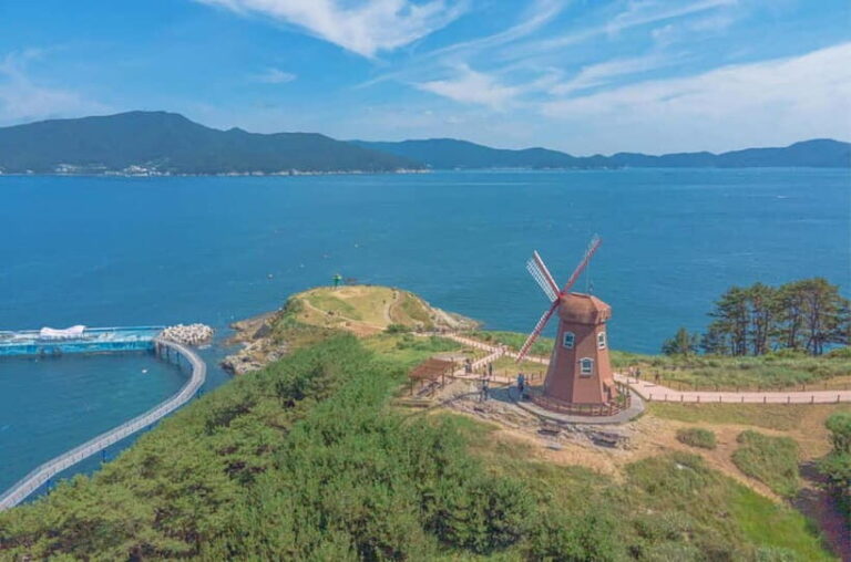Busan: Geoje Coastal Escape, Sea Breeze& Oedo Botania Island - Value and Practical Tips