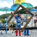 Busan / Gyeongju Customizable Private Tour (up to 8pax) - Who Should Consider This Tour?