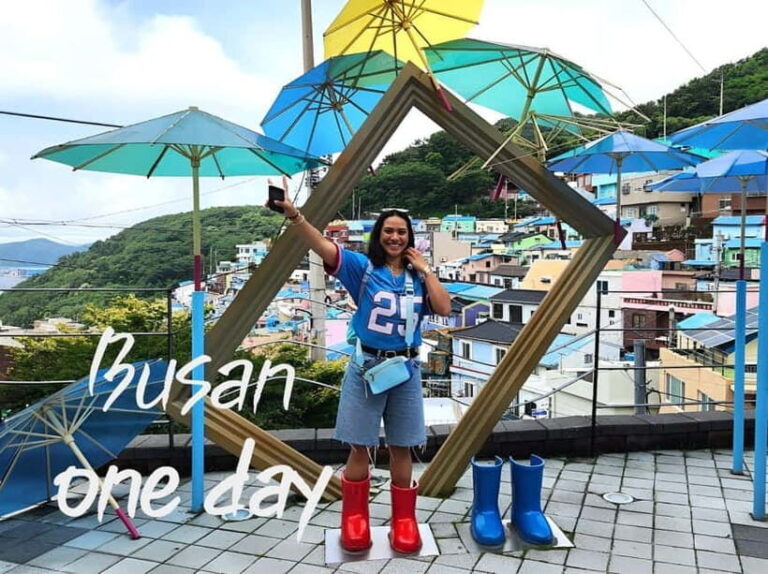 Busan / Gyeongju Customizable Private Tour (up to 8pax) - Who Should Consider This Tour?