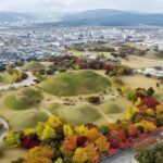 Busan: Gyeongju Full-Day Small-Group Tour with Hotel Pickup - Cheomseongdae Observatory